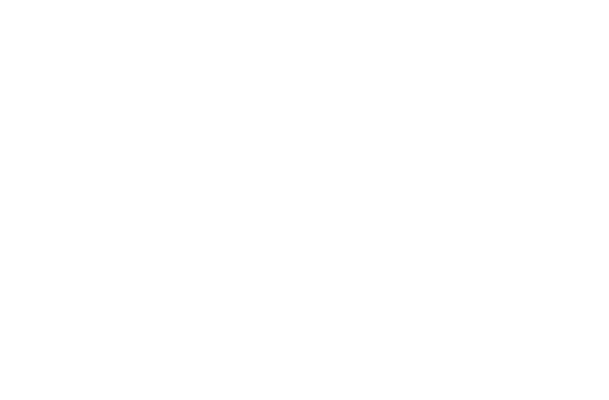 Fanidol Logo